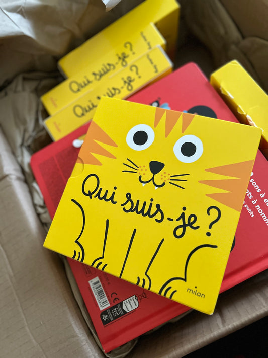 QUI SUIS-JE
